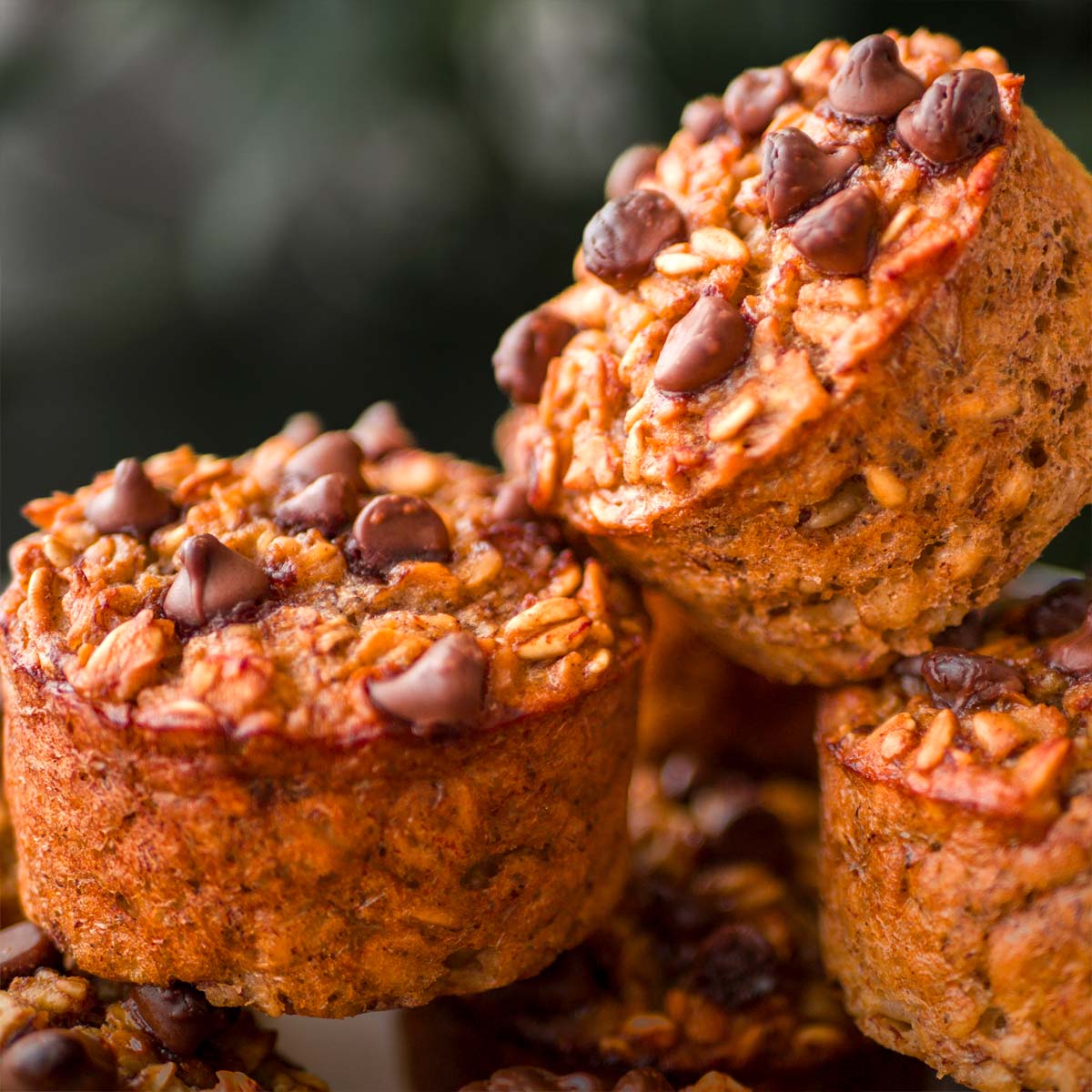 Banana oatmeal chocolate chip muffins