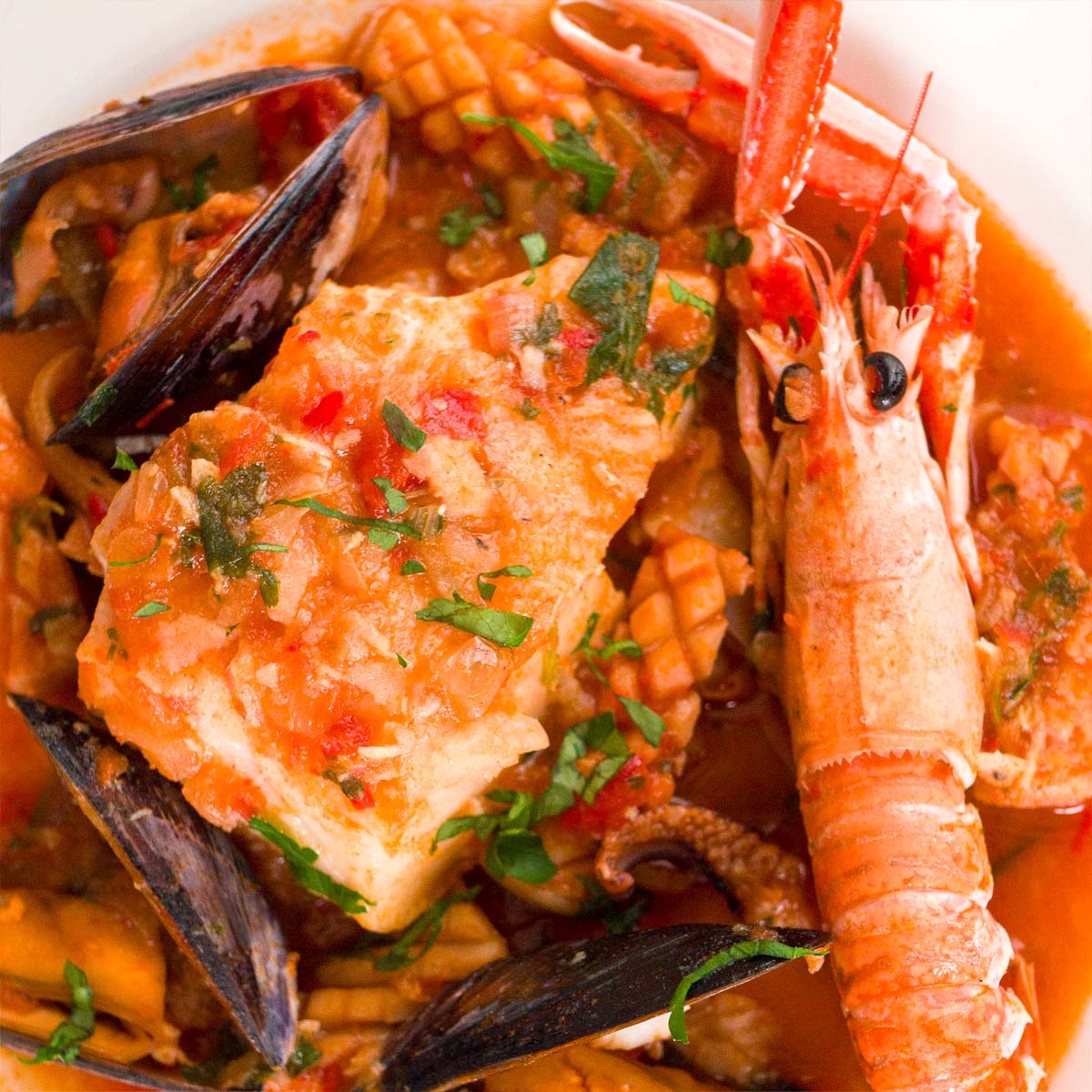 Spanish seafood stew 