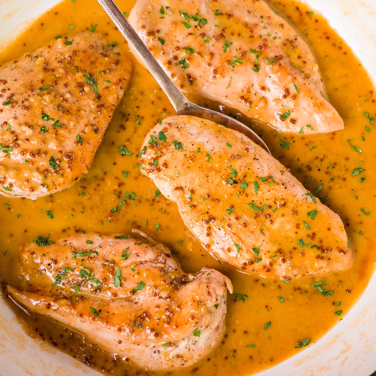 Creamy honey mustard chicken breasts simmering in a golden mustard sauce, finished with a sprinkle of parsley.