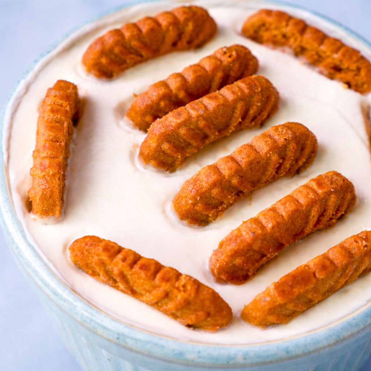 close-up of a 2-ingredient yogurt cheesecake with Biscoff cookies pressed into the creamy yogurt topping