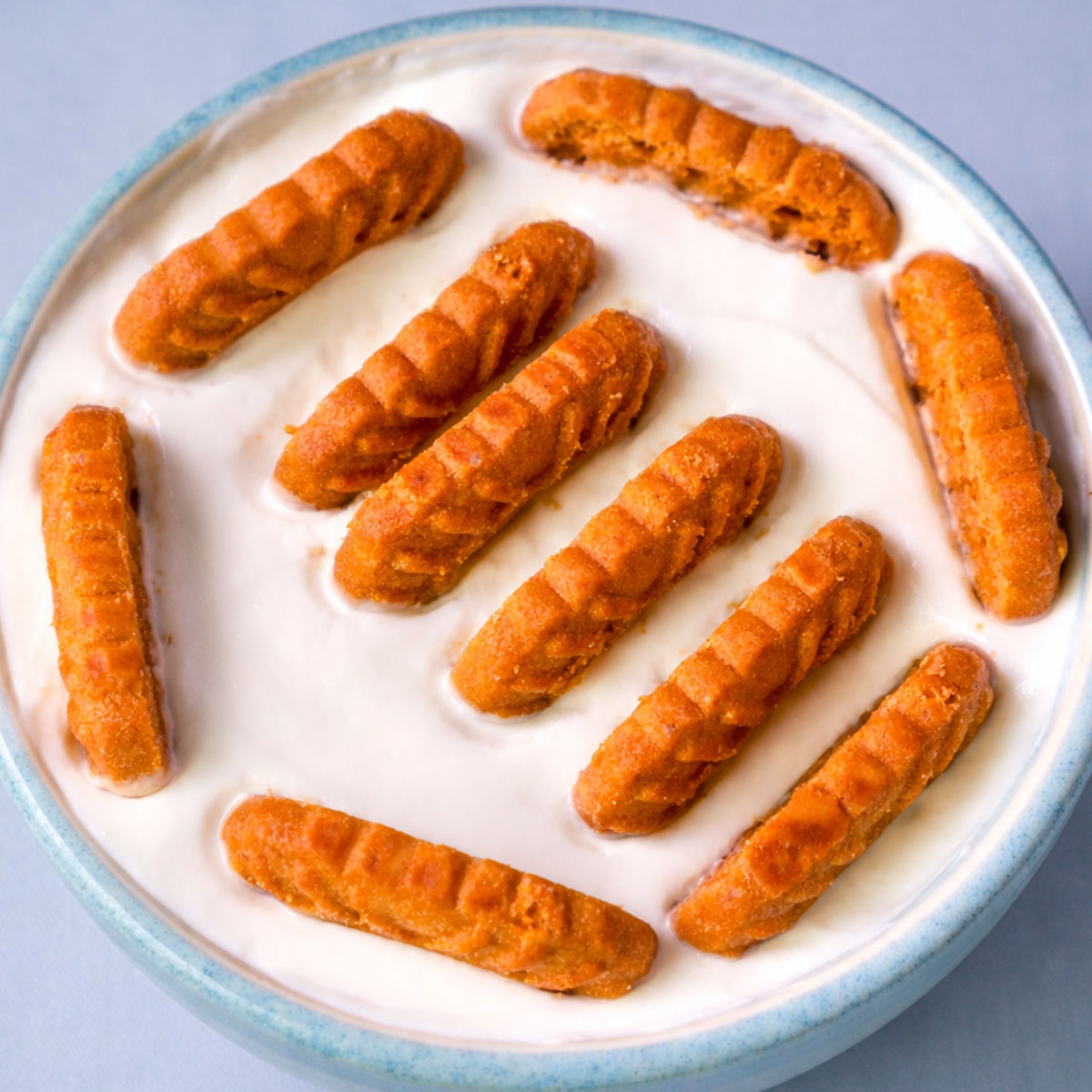 2-ingredient yogurt cheesecake topped with Biscoff cookies arranged on a smooth layer of creamy yogurt