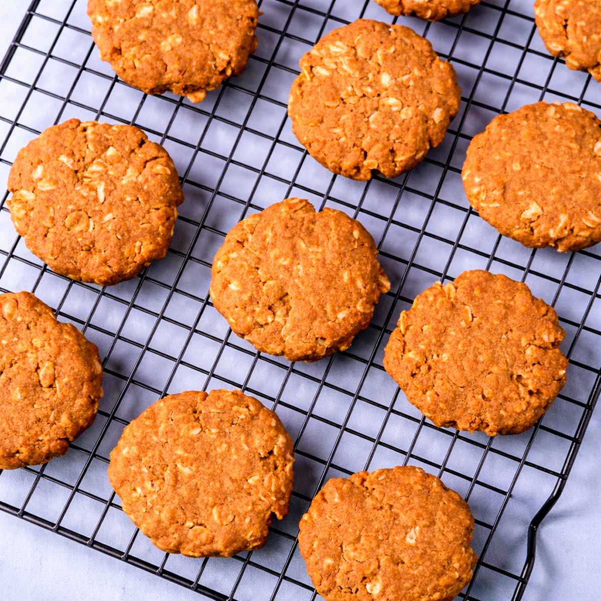 3 ingredient peanut butter oatmeal cookies cooling on a wire rack, golden brown and slightly cracked on top