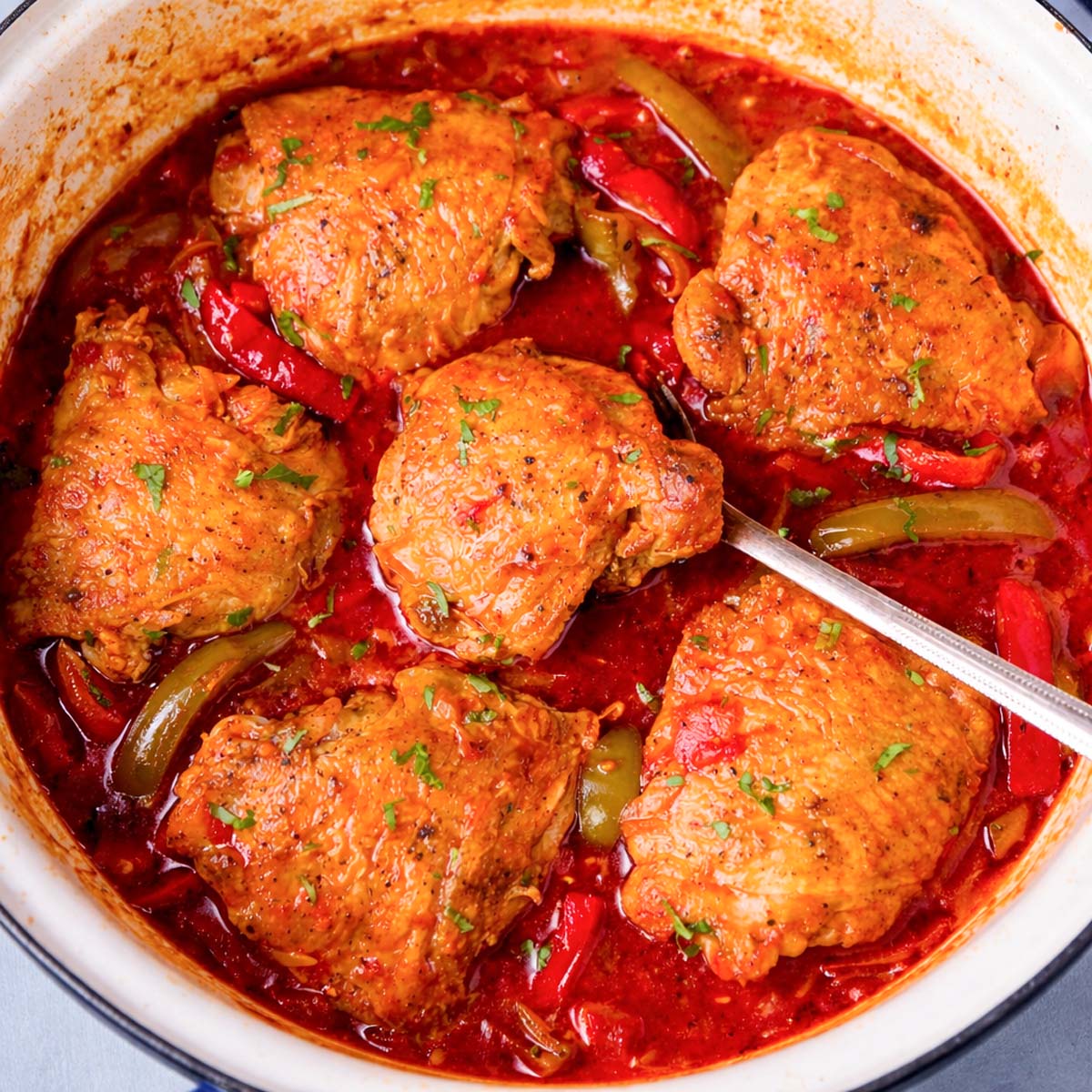 Basque chicken thighs braised in tomato and red pepper sauce, garnished with parsley