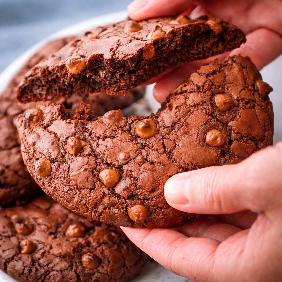 Hand breaking a soft double chocolate chip cookie showing the fudgy interior and chocolate chips, with more double chocolate chip cookies on a plate in the background.