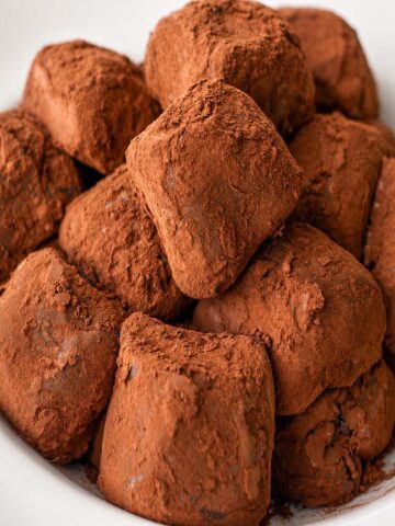 Homemade Chocolate Candy with Cocoa Powder coated in rich cocoa, served in a white bowl with a soft, fudgy texture