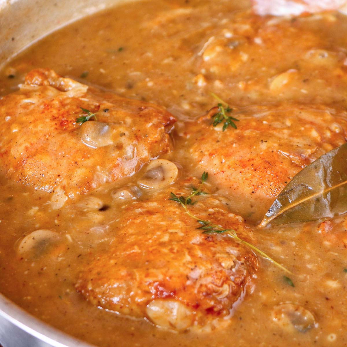 Skillet chicken thighs simmering in a creamy mushroom sauce in a pan, showing golden seared chicken with herbs and rich gravy.