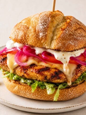 Grilled chicken sandwich with melted cheese, pickled onions, lettuce, and tomato on toasted ciabatta bread served on a white plate.