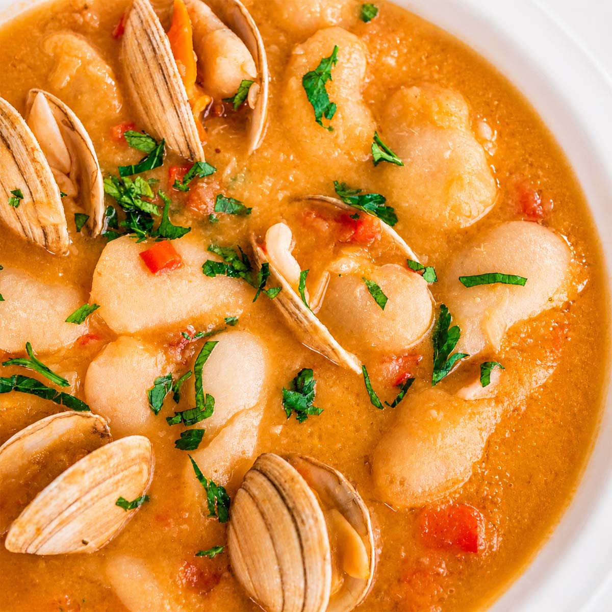 Close up Spanish Bean Soup with Clam (Alubias Blancas con Almejas) served in a white bowl, featuring creamy white beans, tender clams in shell, and a rich broth topped with fresh herbs