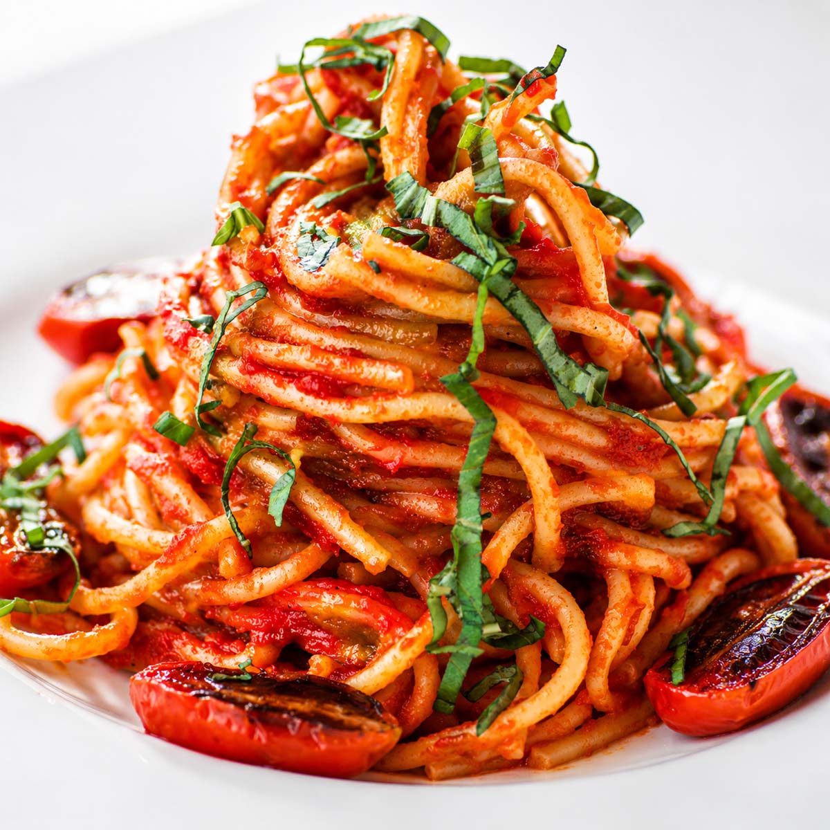 Close up cherry tomato pasta with roasted blistered tomatoes, fresh basil, and spaghetti in rich homemade tomato sauce