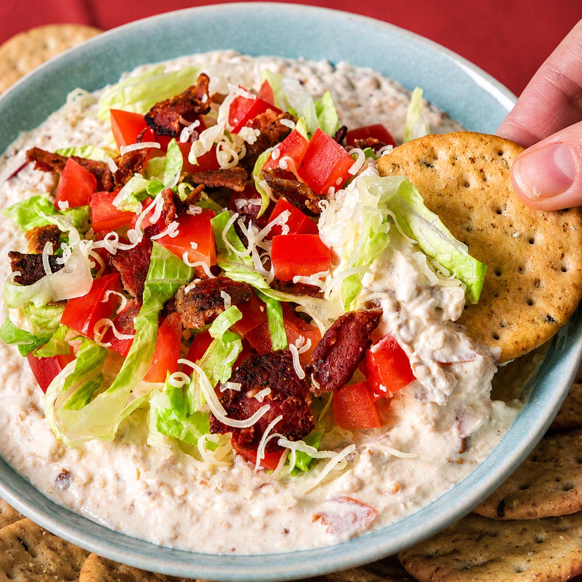 Cracker dipping into creamy BLT dip topped with crispy bacon, diced tomatoes, shredded romaine, and cheddar cheese.