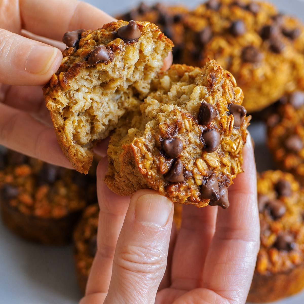 Banana oatmeal chocolate chip muffin broken open to show the soft, moist oat center