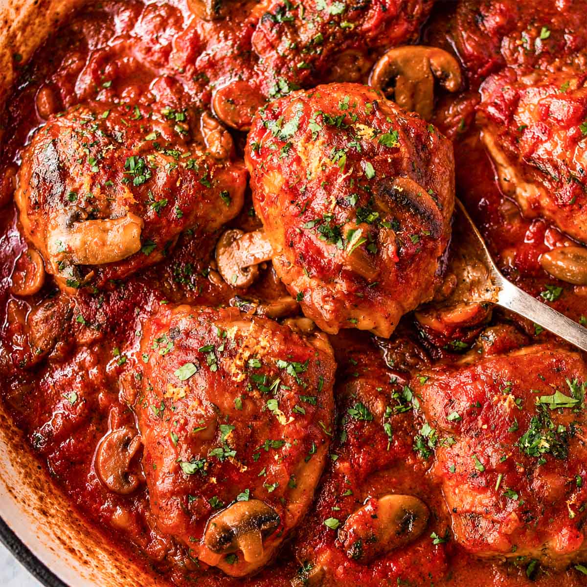 Close-up of Chicken Marengo with tender chicken thighs, mushrooms, and classic tomato sauce