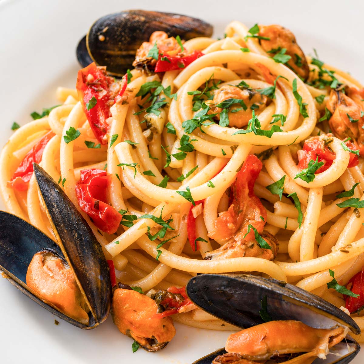 Spaghetti with mussels tossed with cherry tomatoes, garlic, parsley, and chilli in a light Italian seafood pasta sauce.