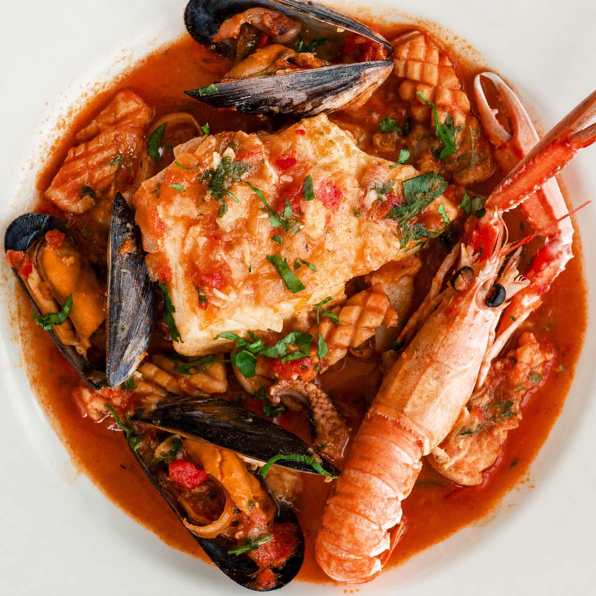 Spanish seafood stew with cod, mussels, squid, and langoustine in tomato broth