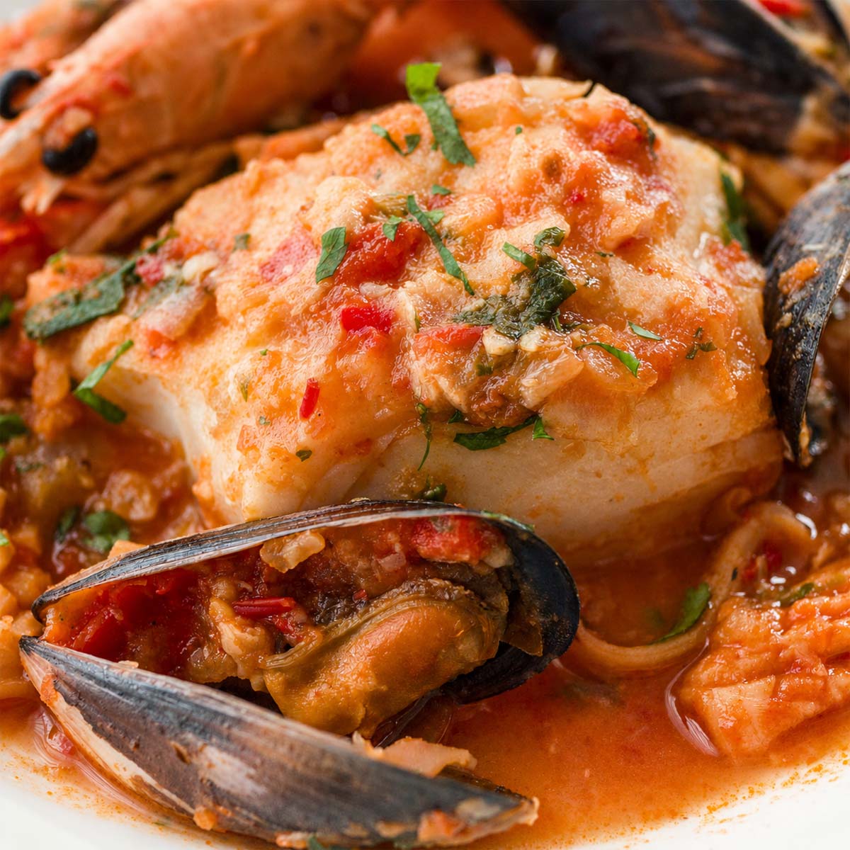 Close-up of Spanish fish stew with tender cod and mussels in rich tomato sauce