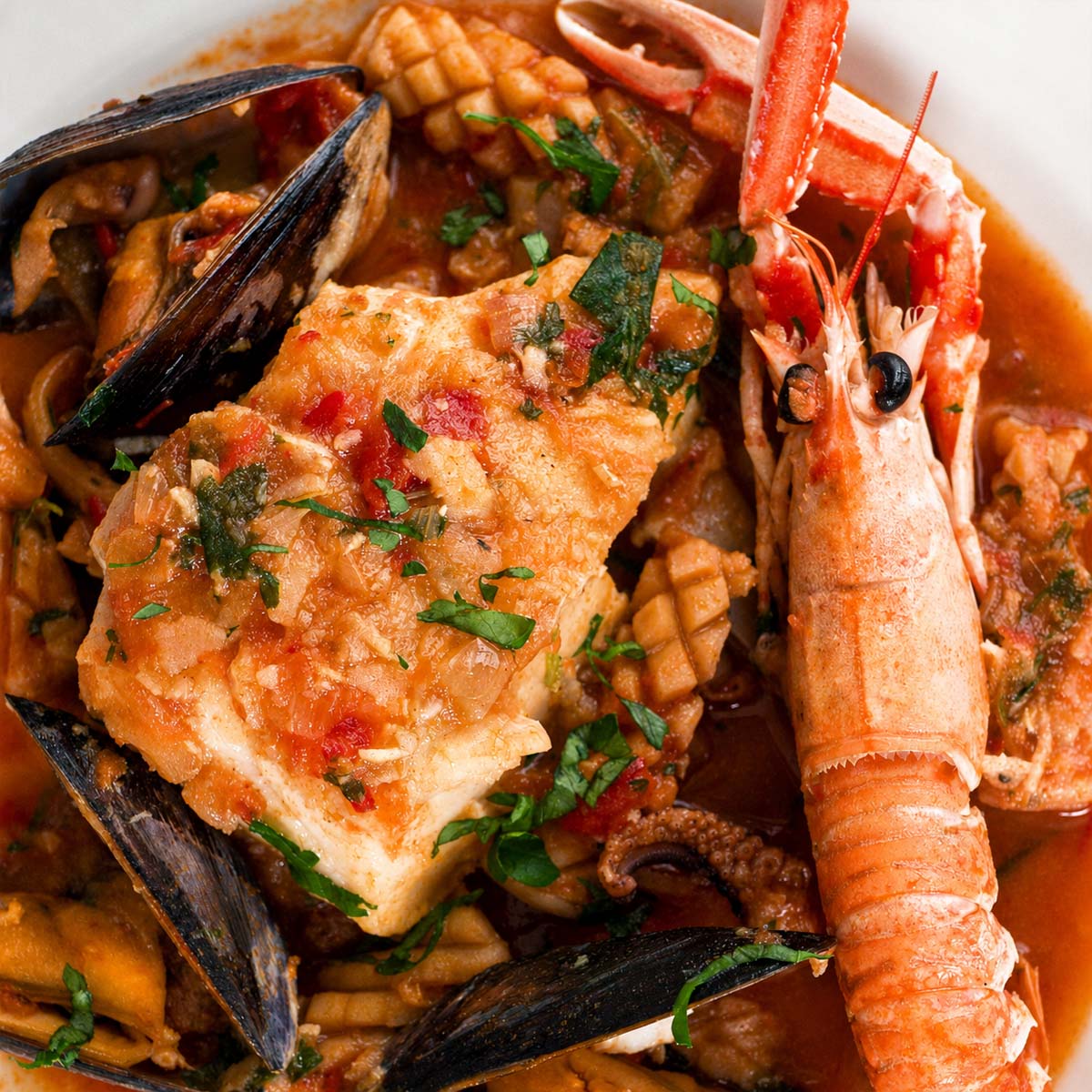 Spanish fish stew with cod, langoustine, mussels, and squid in tomato broth