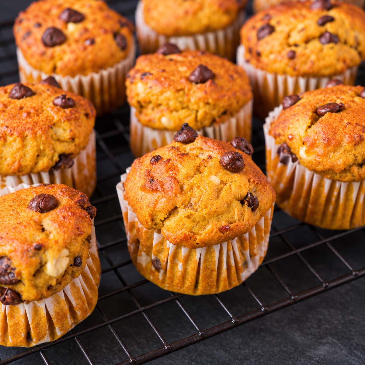 Cottage cheese pumpkin muffins with chocolate chips cooling on a wire rack.