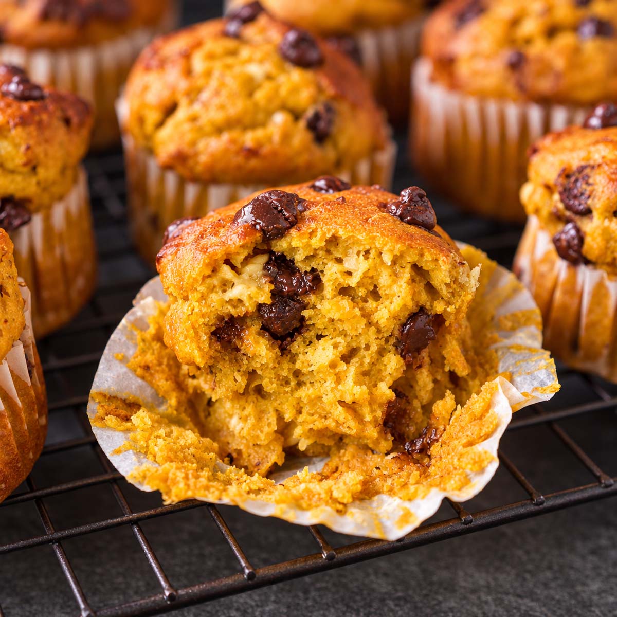 Cottage cheese pumpkin muffin with chocolate chips showing the soft, moist interior.
