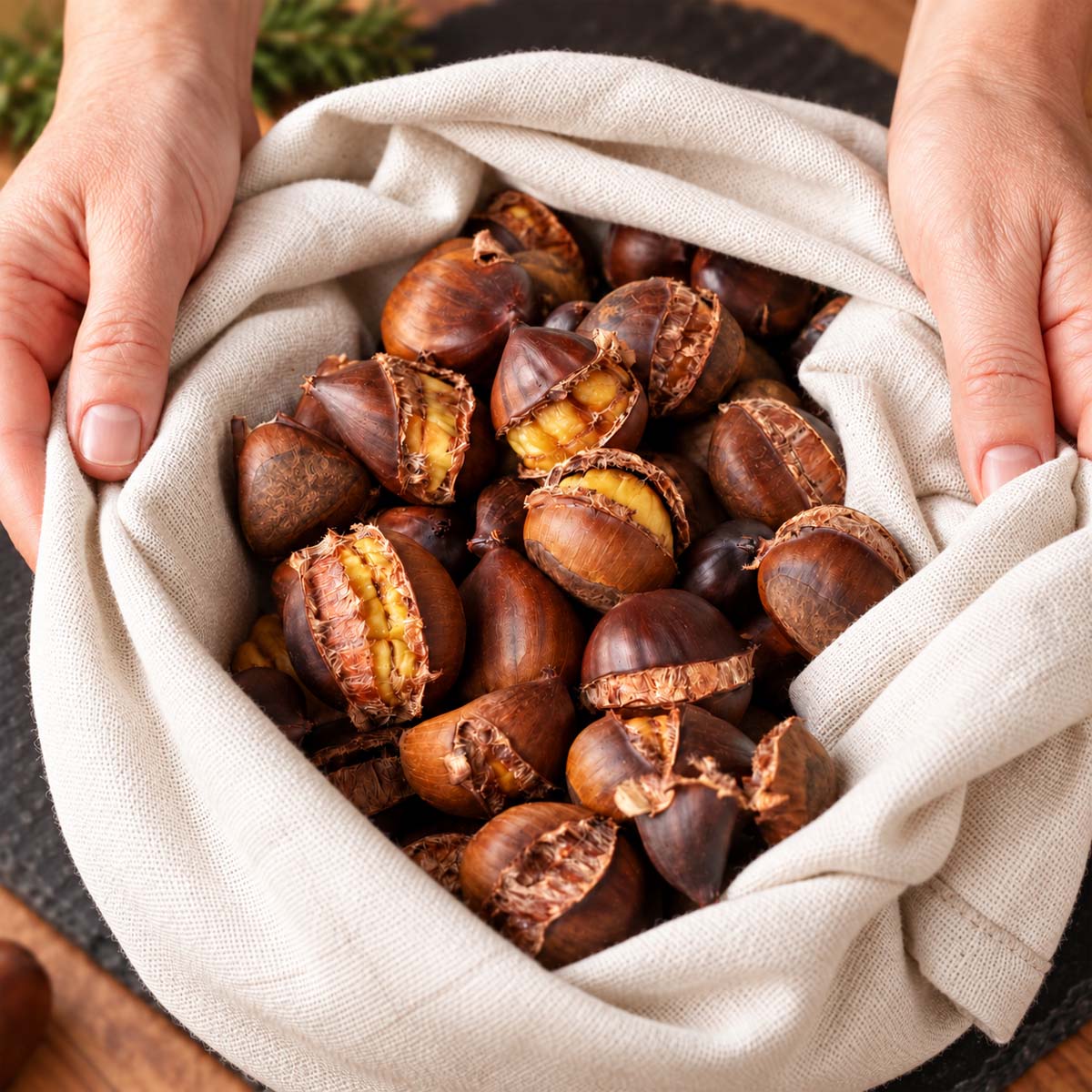 Roasted chestnuts wrapped in a beige linen cloth with cracked shells showing golden centers